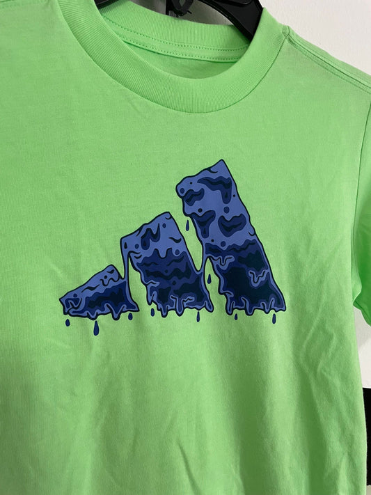 Conjunto Remera Y Short Adidas Talle 6