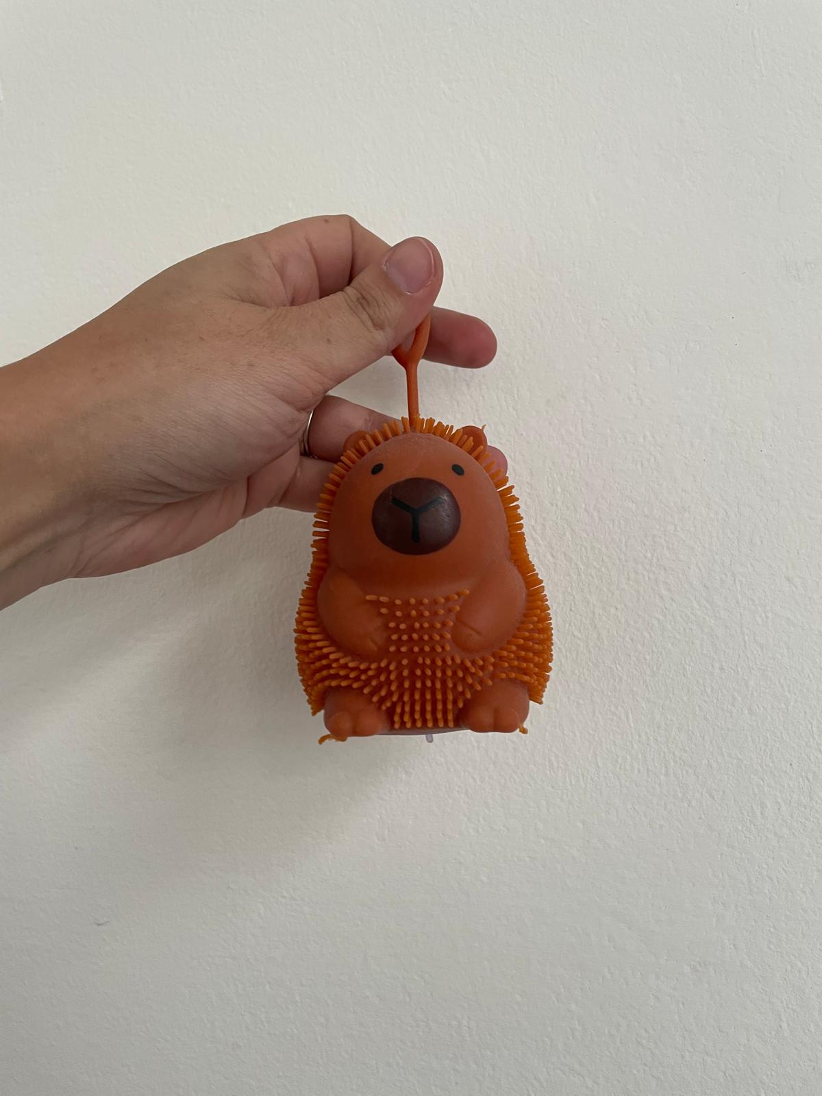 Squishy Capibara Con Luz Amansaloco