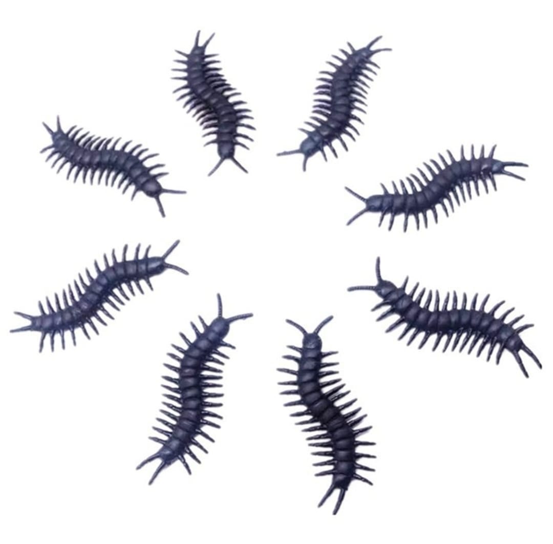 Pack De 6 Cienpiés De 6cm Decoracion Halloween