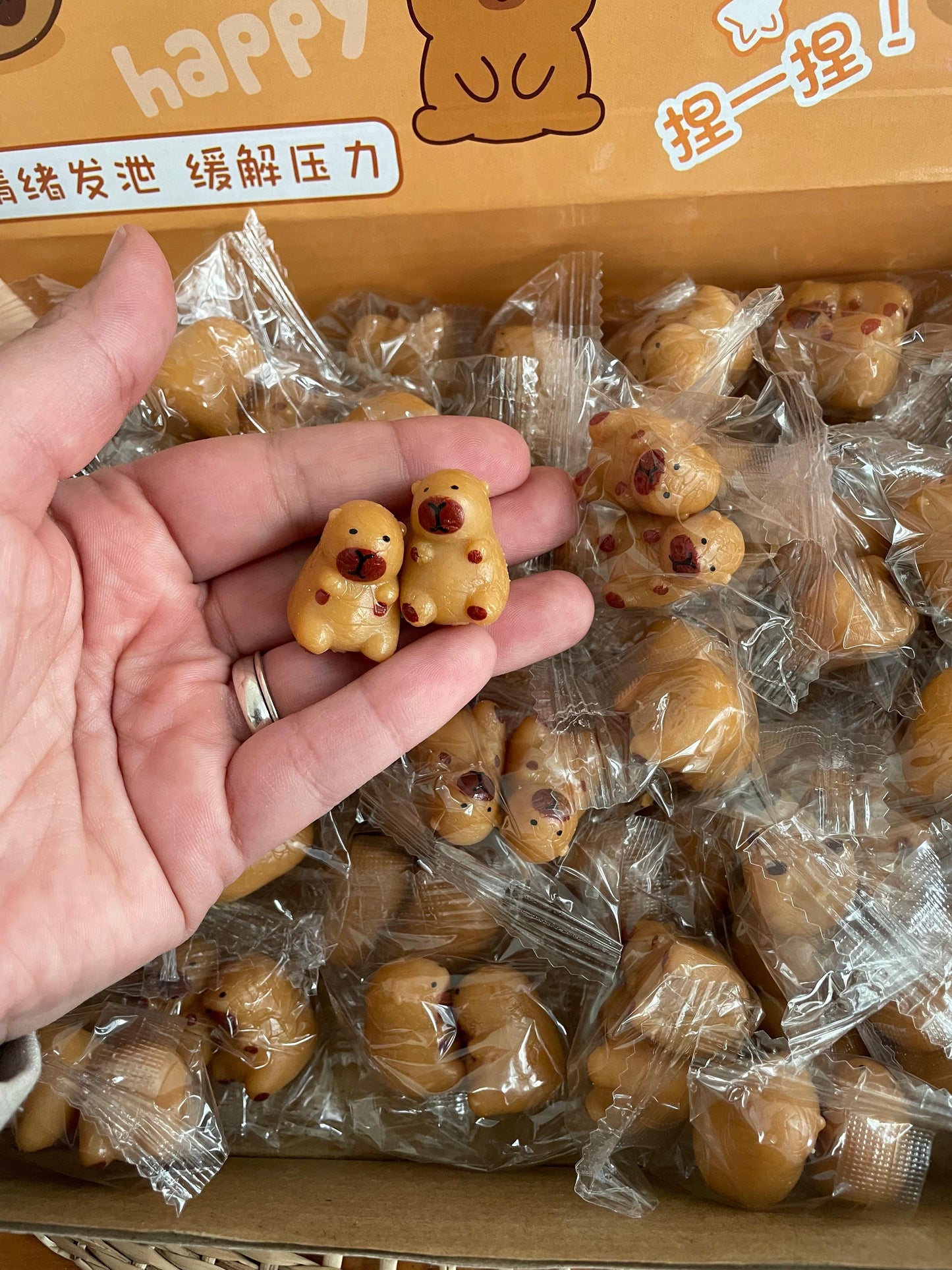 Squishy Mini Capibara 2,5cm Pack X 12 Sorpresitas