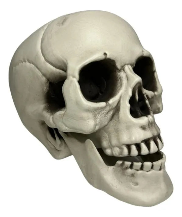 Craneo Decorativo Pvc Fiesta Halloween 23cm
