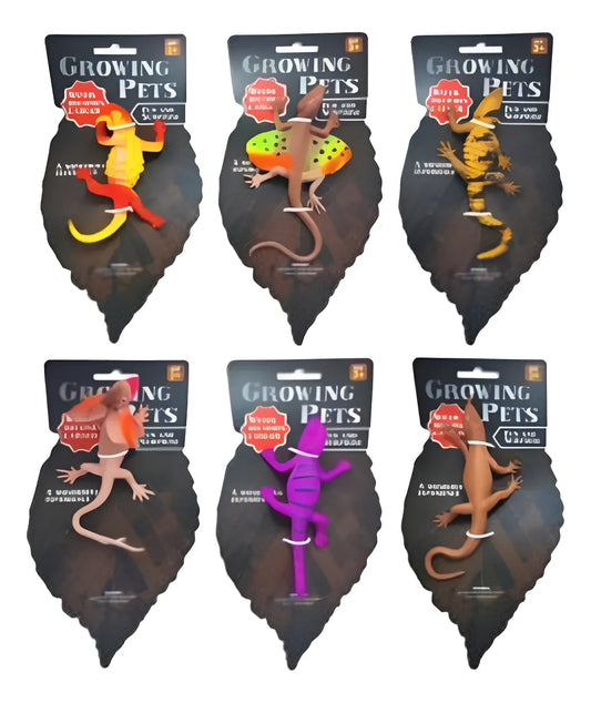 Animales Reptil Crece En Agua Souvenirs Sorpresita