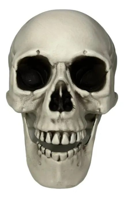 Craneo Decorativo Pvc Fiesta Halloween 23cm