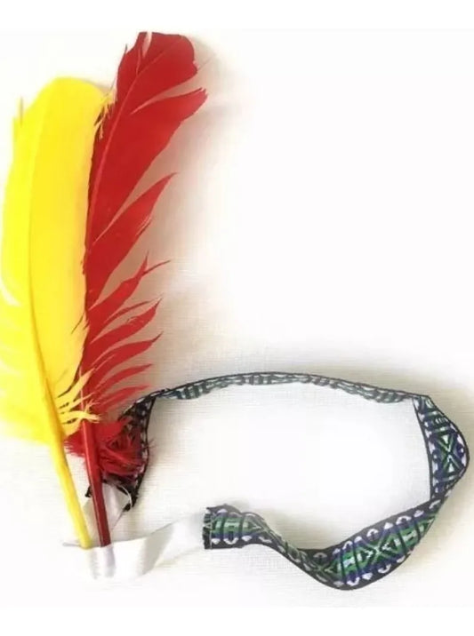 Vincha De Indio Con Dos Plumas