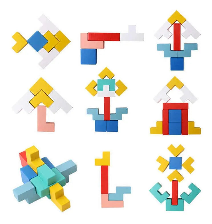 Bloques En Madera Montessori Marco Animal Tetris
