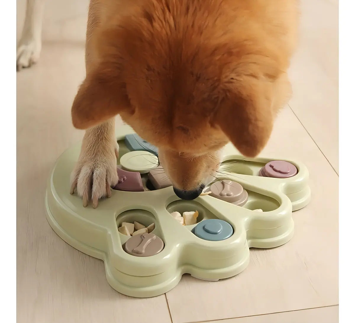 Dispensador De Comida Interactivo Para Mascotas