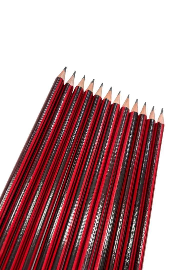 Set de 12 Lápices con goma de borrar