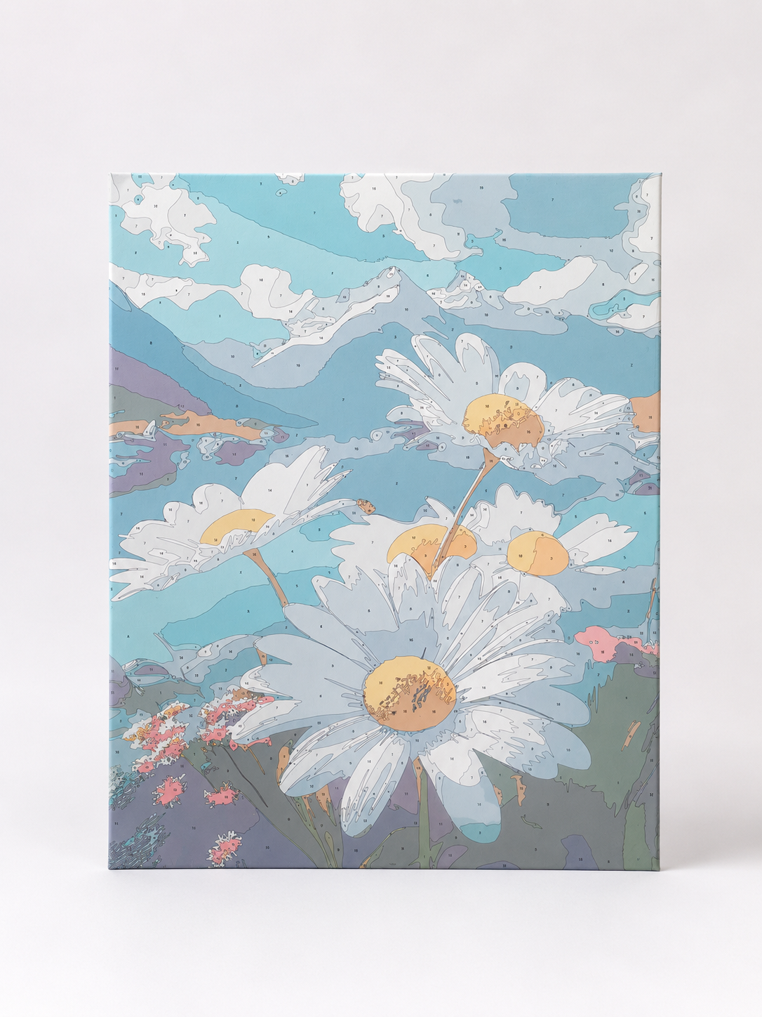 Pintura por numeros con bastidor cuadro 50x40