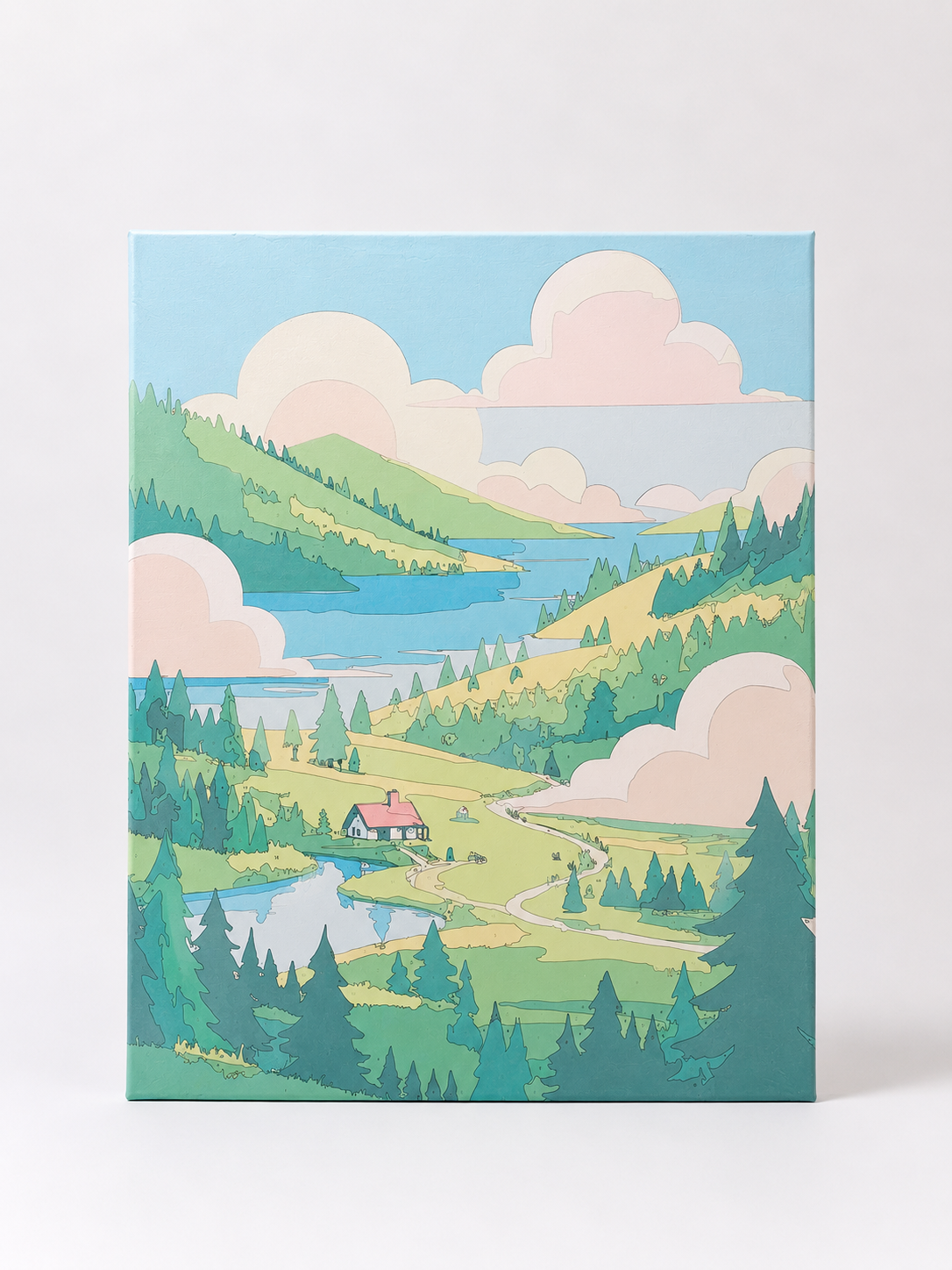 Pintura por numeros con bastidor cuadro 50x40