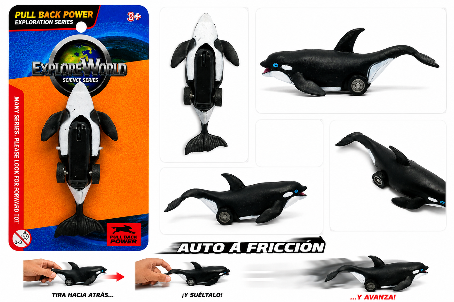 Auto A Friccion Animales Marinos Varios Modelos