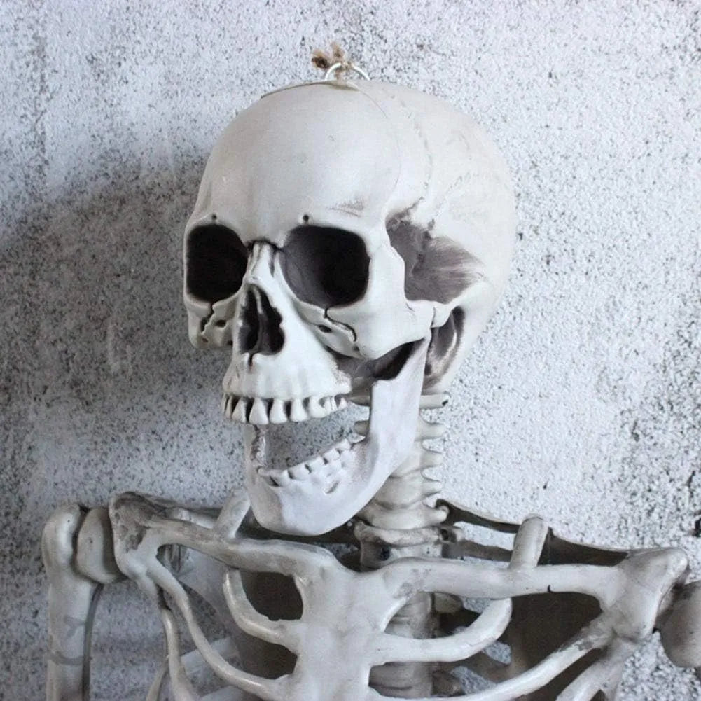 Esqueleto Decorativo Articulado Halloween 60cm