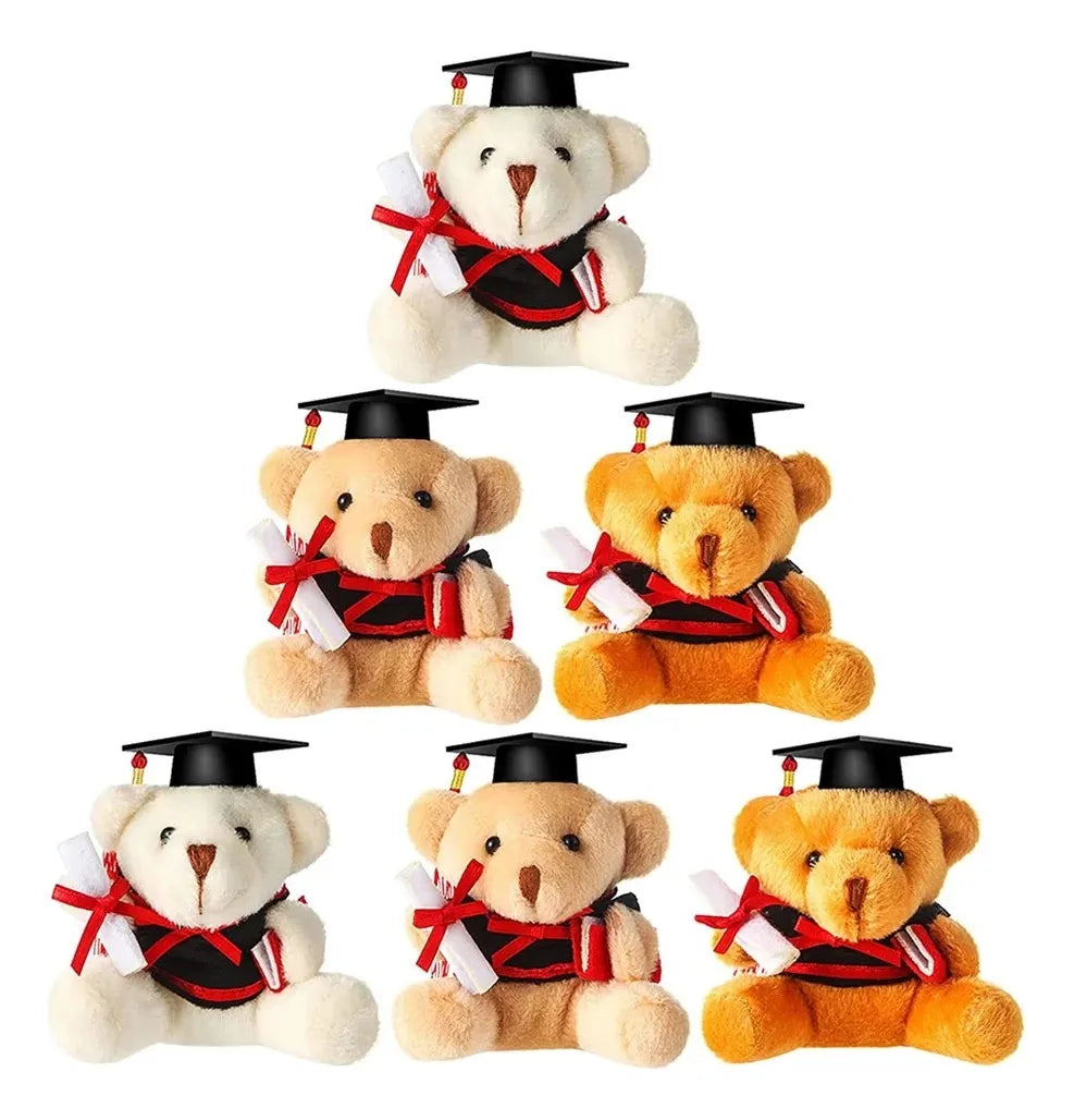 Llaveros Oso De Peluche Graduado 9cm Souvenir