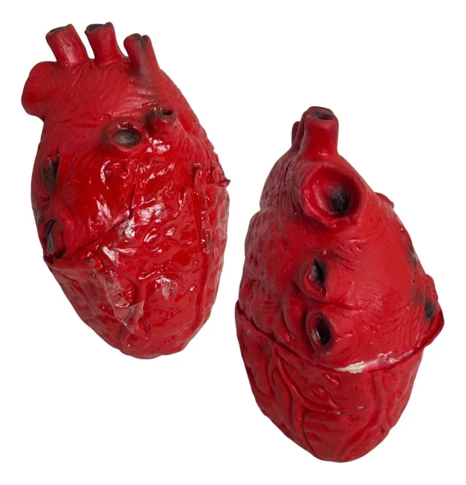 Corazón Humano Rojo Para Decoración De Halloween