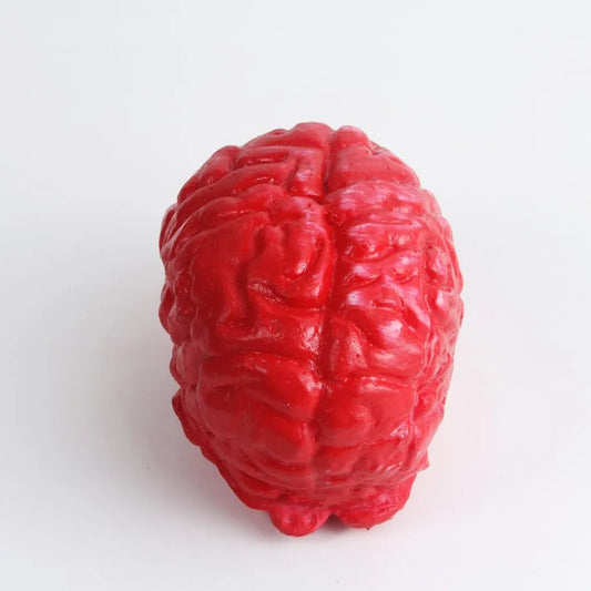 Cerebro De Juguete Decoracion Halloween Pack X2