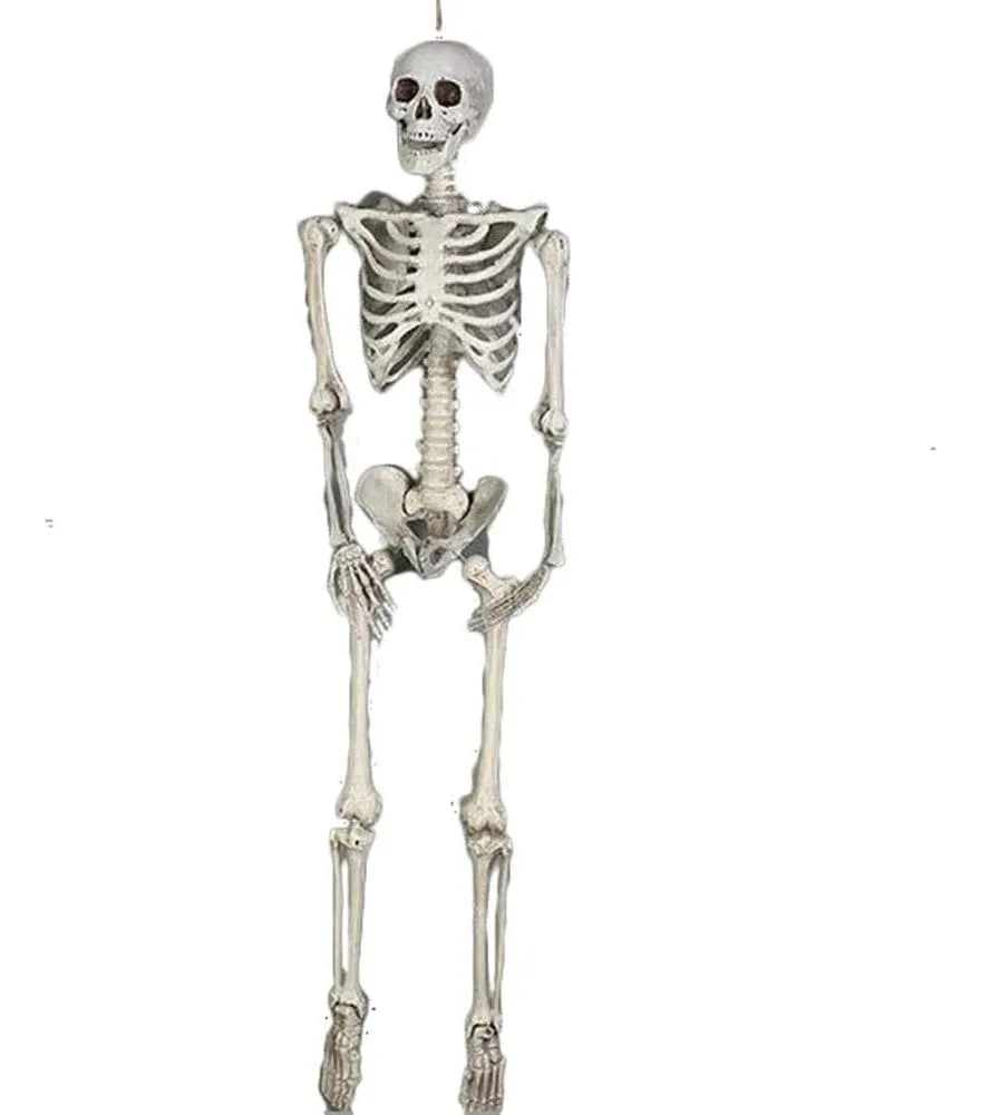 Esqueleto Decorativo Articulado Halloween 60cm