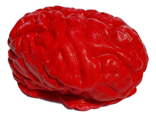 Cerebro De Juguete Decoracion Halloween Pack X2