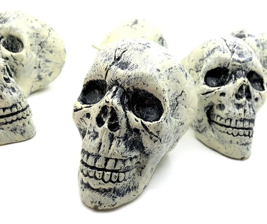 Calavera Craneo 12cm Cotillon Halloween X6