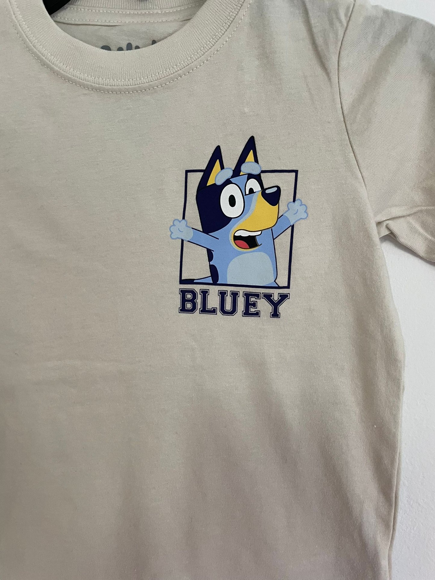 Conjunto Remera y Short de Bluey Carters niño talle 3