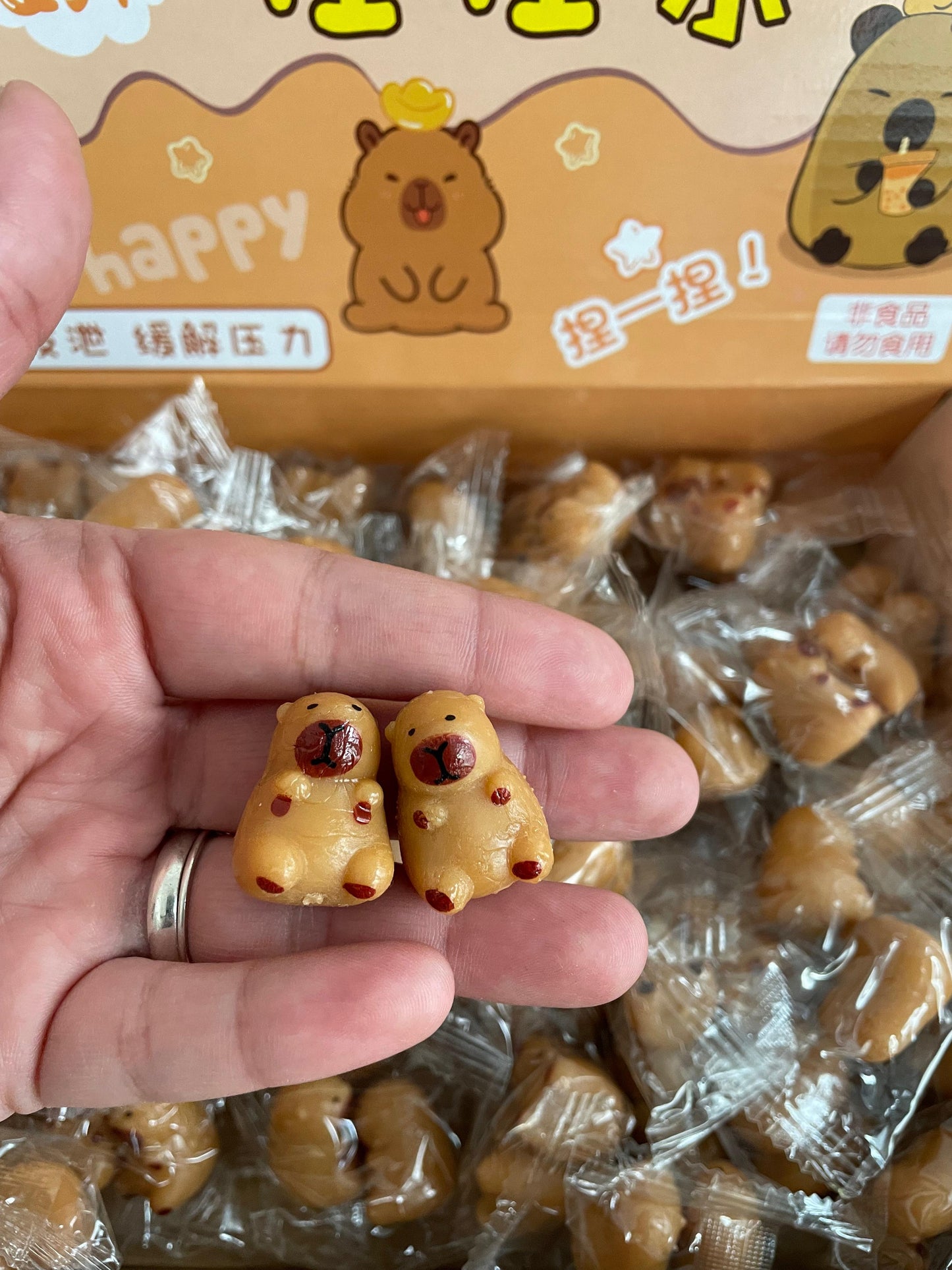 Squishy Mini Capibara 2,5cm Pack X 12 Sorpresitas