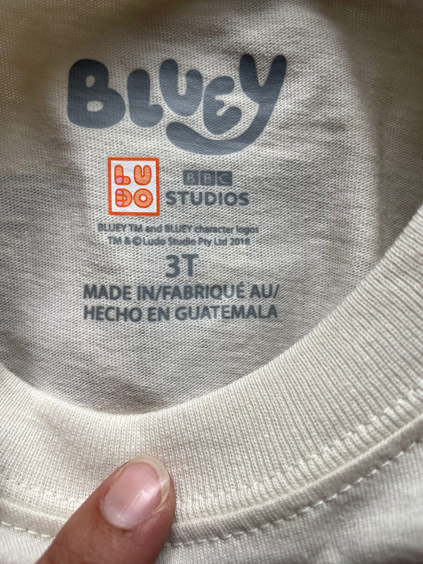 Conjunto Remera y Short de Bluey Carters niño talle 3