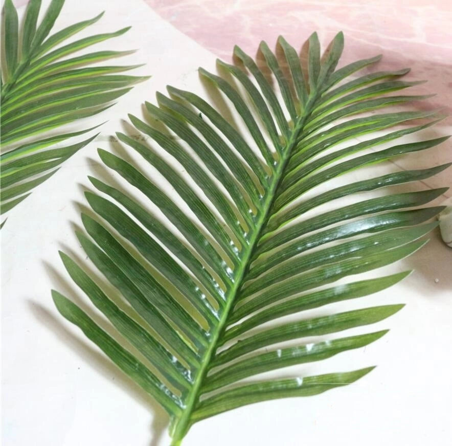 Hoja verde para decoracion de palmera
